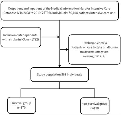 Association between lactate/albumin ratio and 28-day all-cause mortality in ischemic stroke patients without reperfusion therapy: a retrospective analysis of the MIMIC-IV database